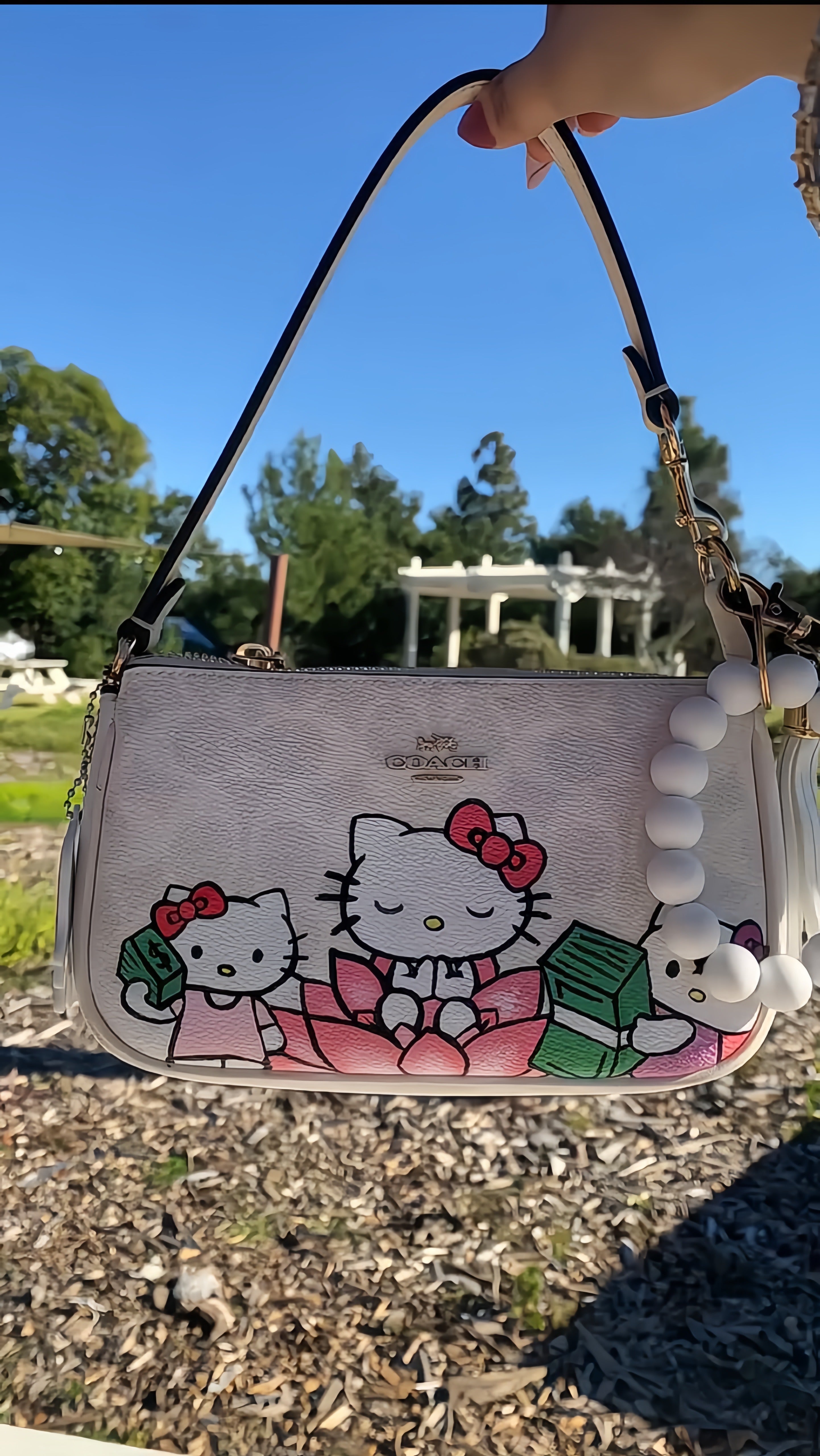 Hello Kitty Cash Coach